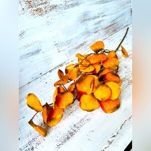 *Gold Eucalyptus Pick, 28”